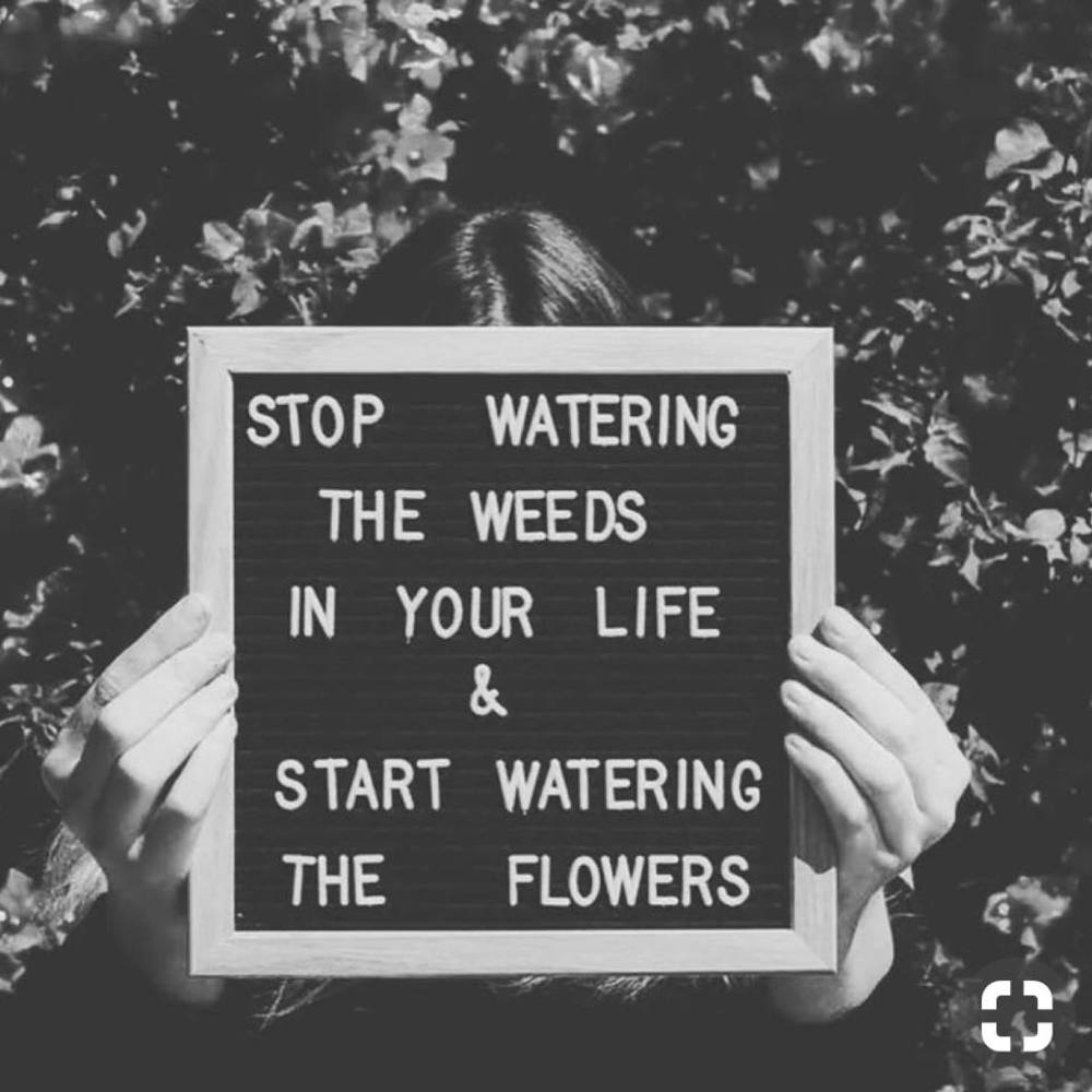 Meet your Posher, Kendall